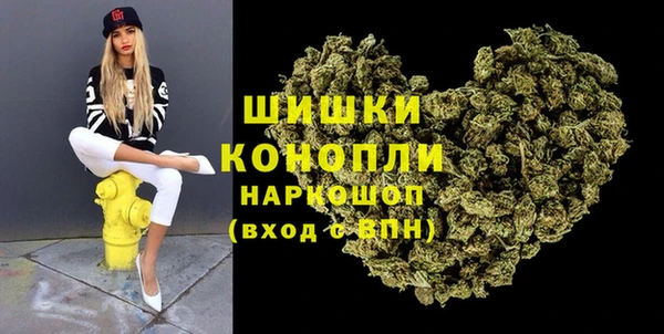 2c-b Горнозаводск