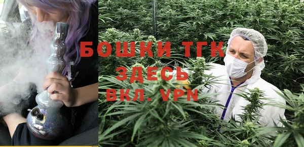 2c-b Горнозаводск