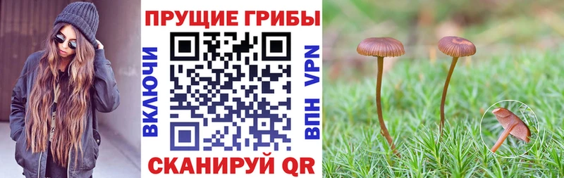 Галлюциногенные грибы мухоморы  Осташков 