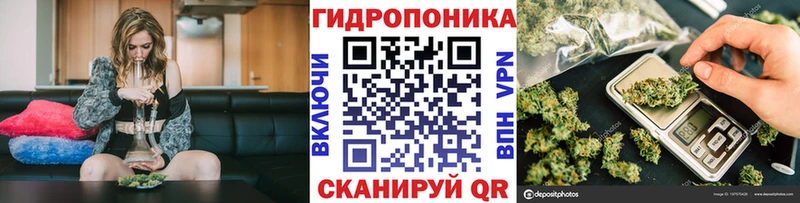 Шишки марихуана семена Осташков